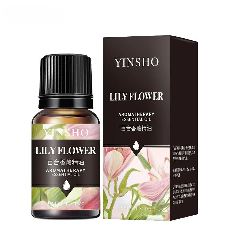 17-Piece Essential Oil Set - 10ml Water-Soluble for Aroma Diffuser
