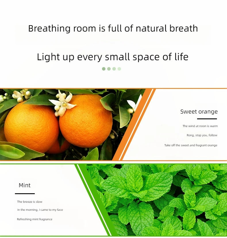17-Piece Essential Oil Set - 10ml Water-Soluble for Aroma Diffuser