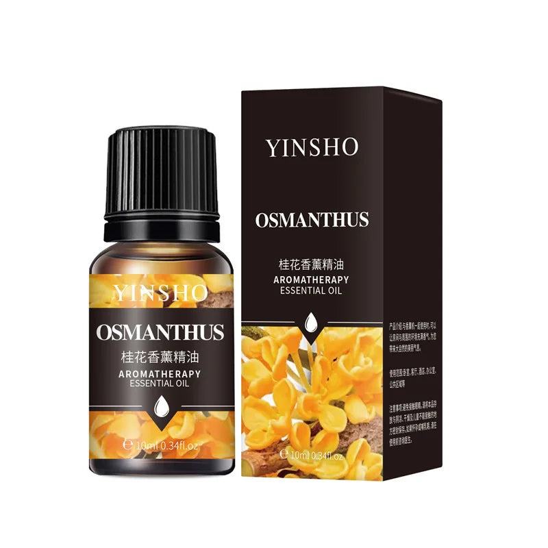 17-Piece Essential Oil Set - 10ml Water-Soluble for Aroma Diffuser